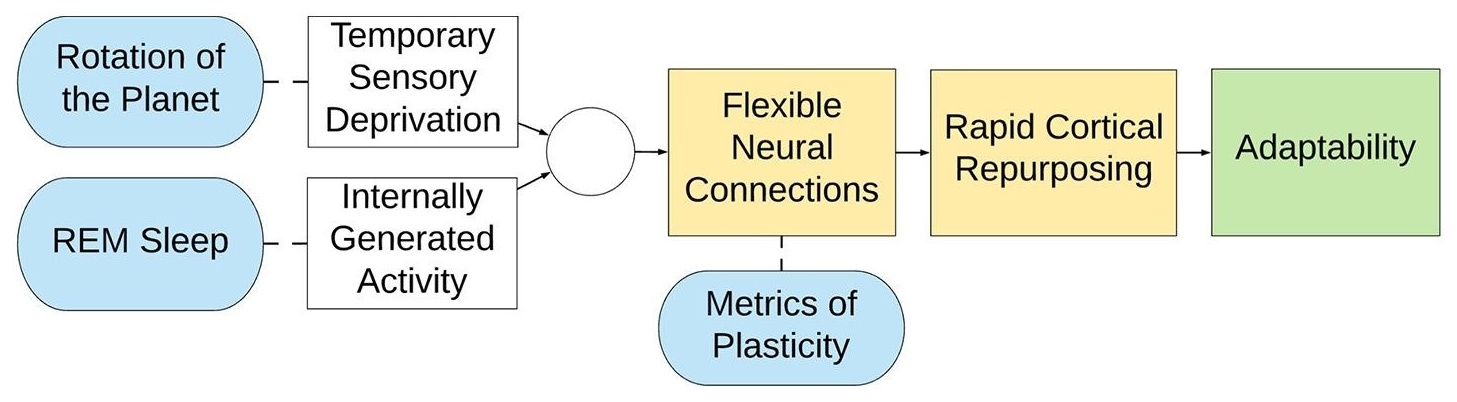 Figure 6 — 방어 활성화 이론의 전체 프레임