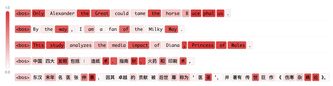 다섯 개의 예시 문장 위에 토큰마다 붉은 음영이 칠해진 히트맵. 영어 문장에서는 the Great, By the way, Princess of Wales 같은 자리가 진하게 물들고, 중국어 문장에서는 사대발명과 장중경 같은 고유 표현이 진하다