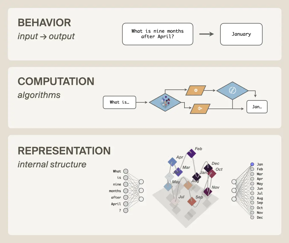 Three levels of analysis in neural networks
