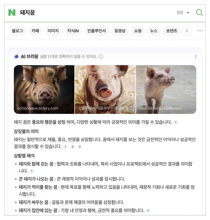 네이버 AI 브리핑 화면
