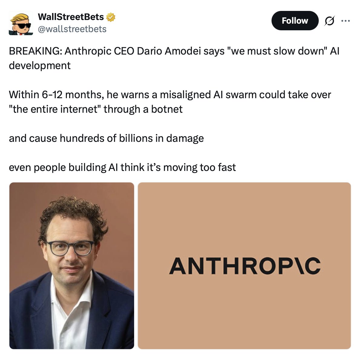 Anthropic CEO 다리오 아모데이가 AI 개발 속도를 늦춰야 한다고 말했다는 WallStreetBets 계정의 트윗 스크린샷